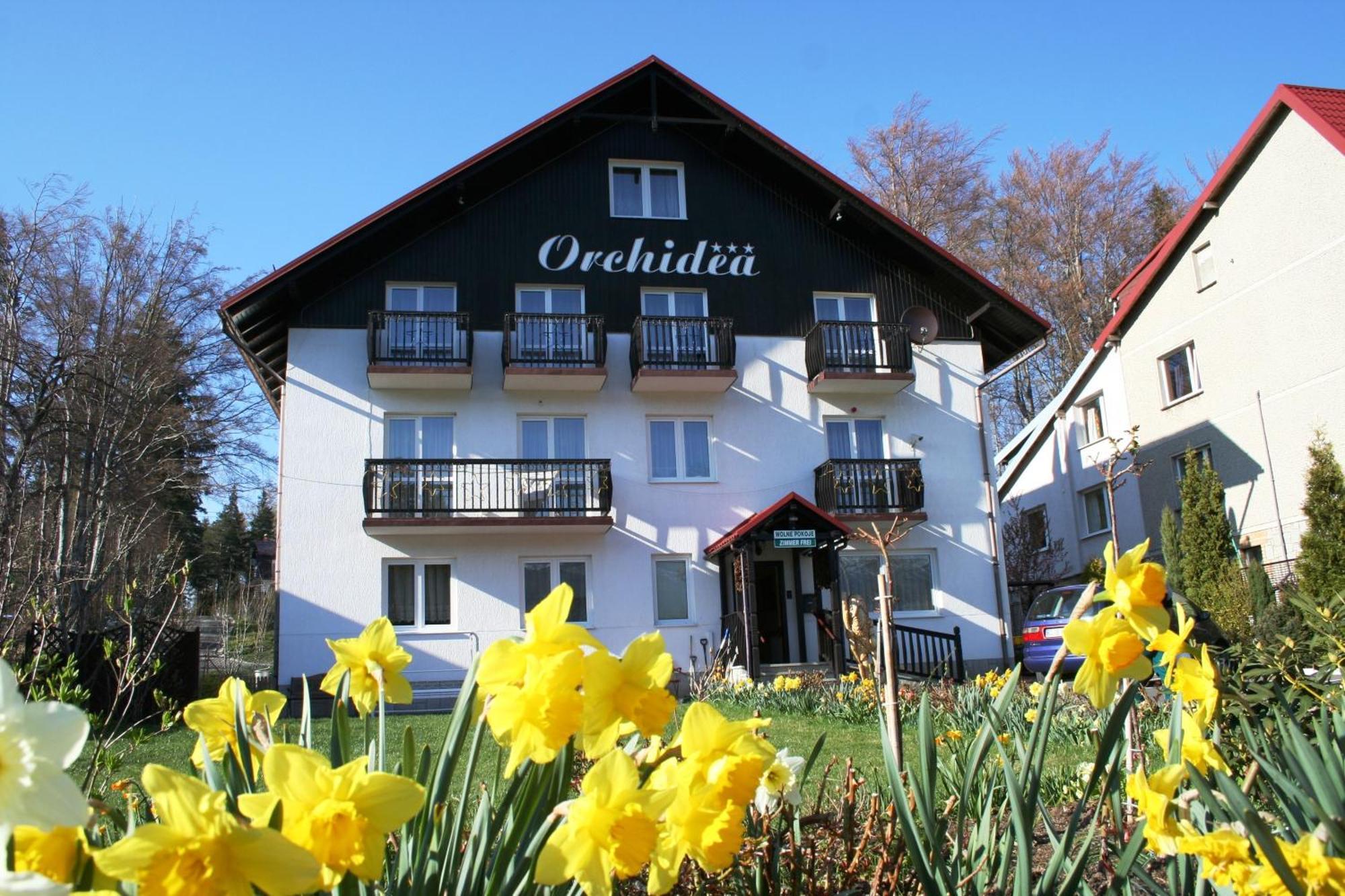 Orchidea Bed & Breakfast Szklarska Poręba Eksteriør bilde